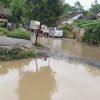 Puluhan Tahun Jalan Milik Kabupaten Lebak Di Citeras Rusak Parah Menjadi Kubangan Kotoran Kerbau.