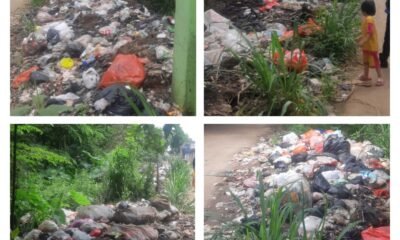 Bau Sampah di Pinggir Jalan Yang Tidak Sedap DLHK Kab. Tangerang Slow Response